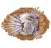 Implosion.png