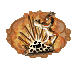 Land_Mine.png